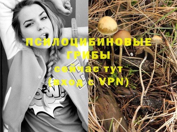 mdpv Кодинск