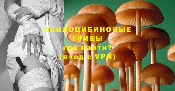 mdpv Кодинск