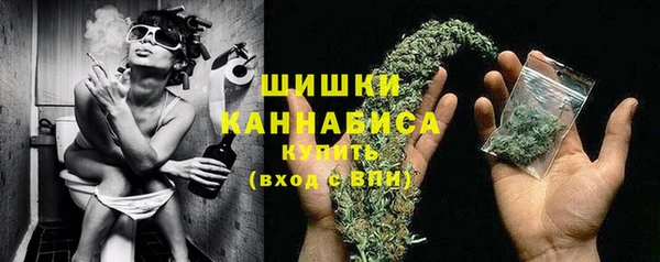 спиды Краснослободск