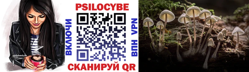 Псилоцибиновые грибы MAGIC MUSHROOMS  Купить закладки  Балабаново 