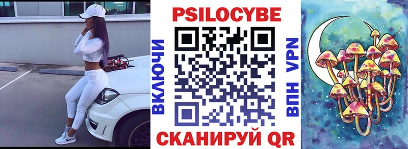 Псилоцибиновые грибы Psilocybe Балабаново